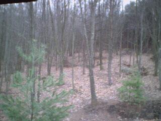 Webcam Moorefield, West Virginia