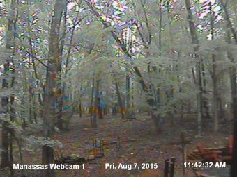 Webcam Lee Manor, Virginia