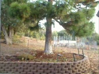 Webcam Pinedale, Arizona