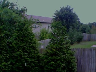 Webcam Springdale, Arkansas
