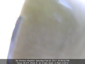 Webcam Windsor, Colorado