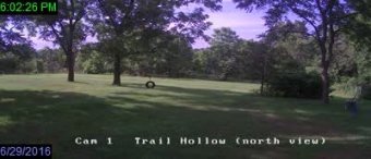 Webcam Dora, Missouri