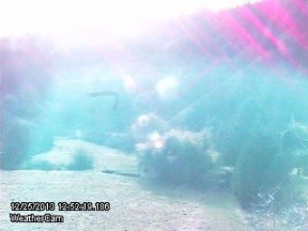Webcam Deadwood, Oregon