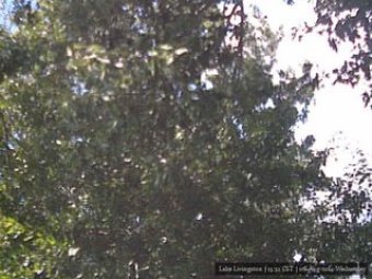 Webcam Point Blank, Texas
