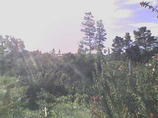 Webcam La Honda, California