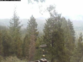 Webcam Fish Camp, California
