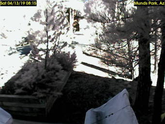Webcam Munds Park, Arizona