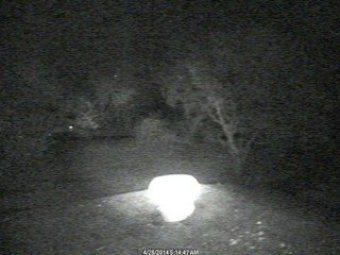 Webcam Henning, Tennessee