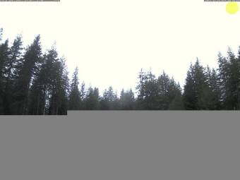 Webcam Humptulips, Washington