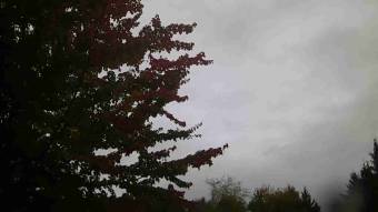 Webcam Lake Stevens, Washington
