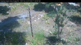 Webcam Bear Valley, California