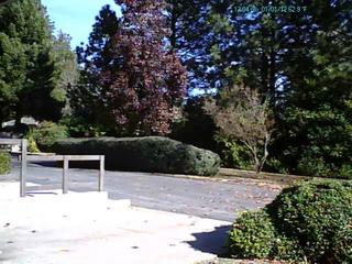 Webcam Paradise, California
