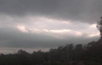 Webcam La Floresta