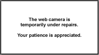 Webcam Sundance, Wyoming