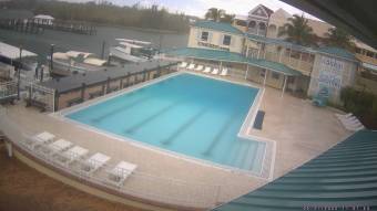 Webcam Freeport