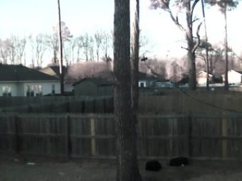 Webcam Jacksonville, Arkansas