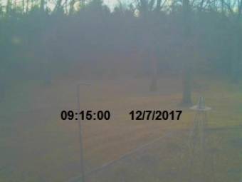 Webcam Midway, Arkansas
