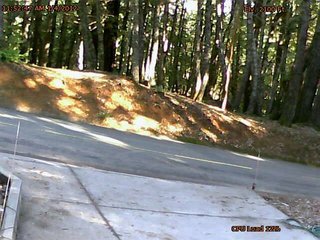 Webcam Willits, California