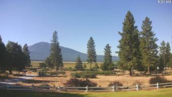 Webcam Burney, California