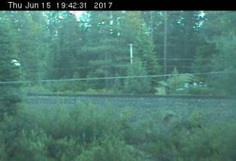 Webcam Westwood, California