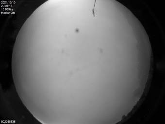 Webcam Monterey, California