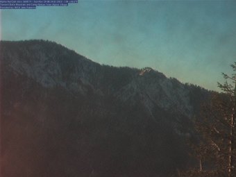 Webcam Camp Nelson, California