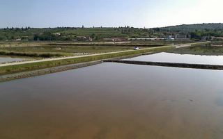 Webcam Secovlje