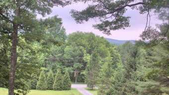 Webcam Swanton, Maryland