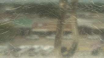 Webcam Madisonville, Texas