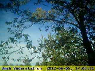Webcam Ume�