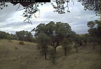 Webcam Sonoita, Arizona