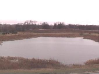 Webcam Aurora, Illinois