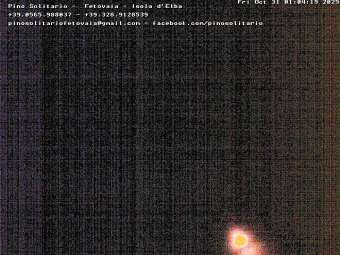 Webcam Elba - Fetovaia