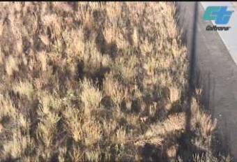 Webcam Truckee, California