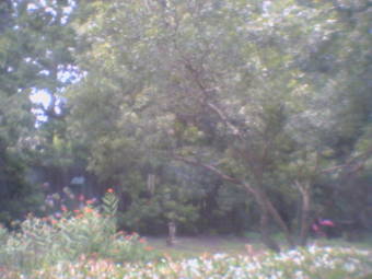 Webcam Alexandria, Louisiana