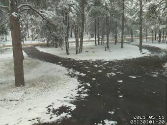 Webcam Black Forest, Colorado