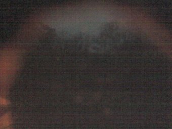 Webcam Califon, New Jersey