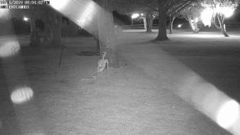 Webcam Canton, New York