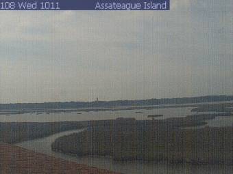 Webcam Chincoteague Island, Virginia