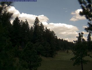 Webcam Cloudcroft, New Mexico
