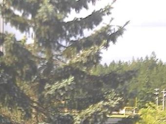 Webcam Shelton, Washington