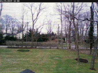 Webcam East Setauket, New York