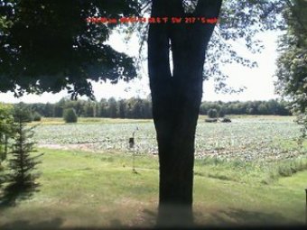 Webcam Eden, New York