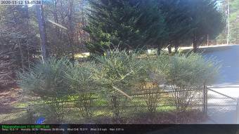 Webcam Ellijay, Georgia