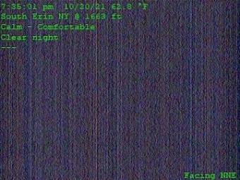 Webcam Erin, New York