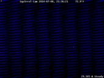 Webcam Essex Junction, Vermont