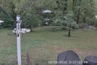 Webcam Euless, Texas