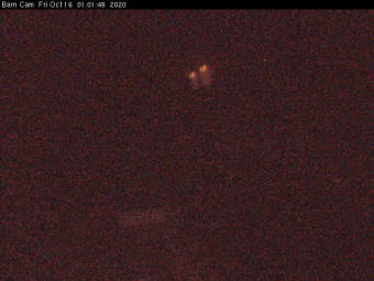 Webcam Export, Pennsylvania