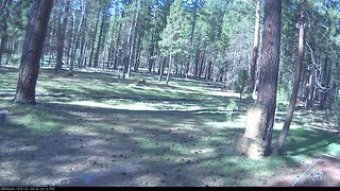 Webcam Fall River Mills, California