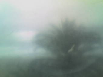 Webcam Moj�car